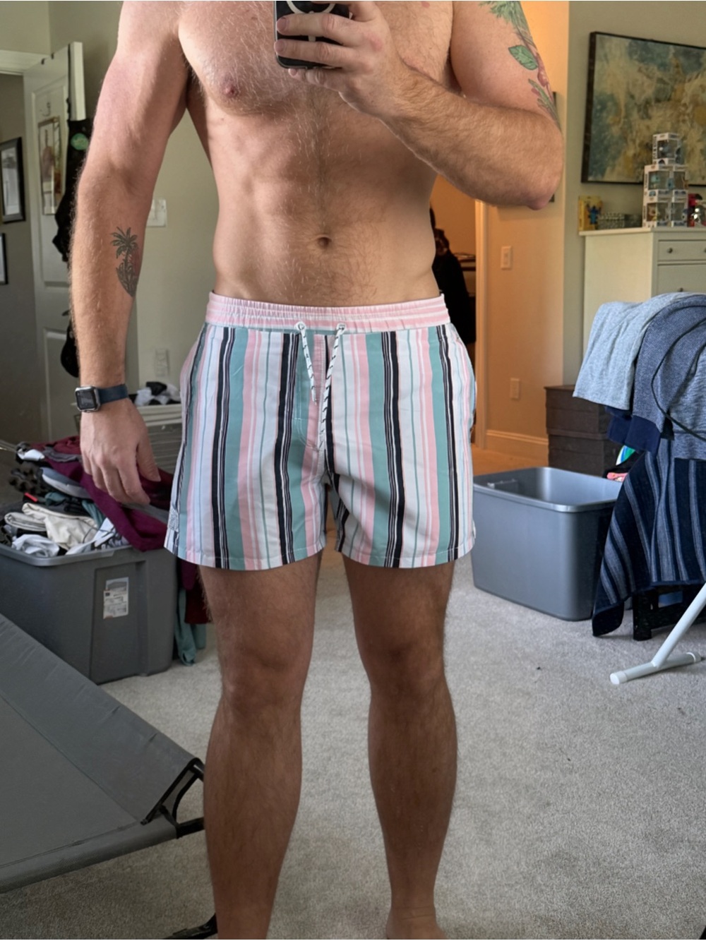 Men's Striped Elastic Waist Swim Shorts - Pastel Multi XL - Picture 3 of 3